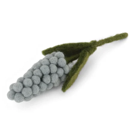 Filz-Traubenhyazinthe, hellblau