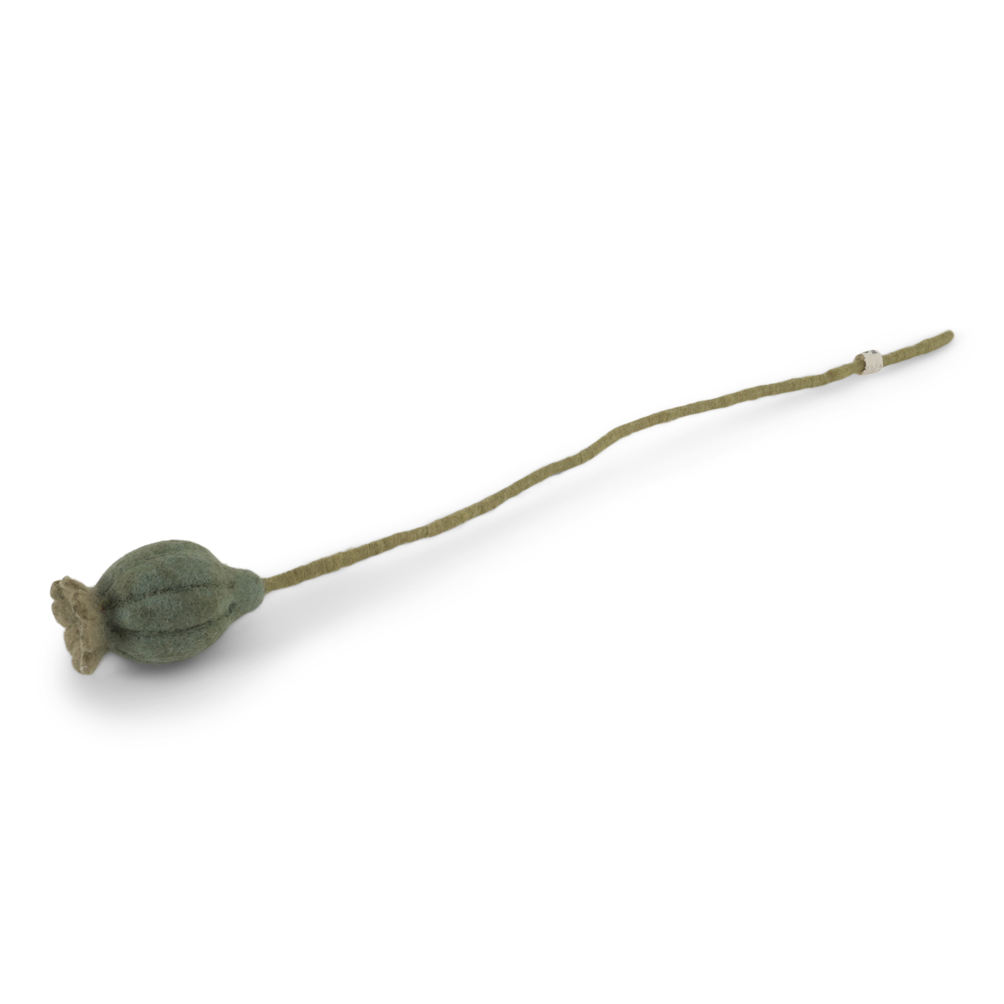 Filz-Mohn-Kapsel, Poppy Seed
