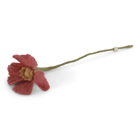 Filz-Mohn-Blume, raspberry