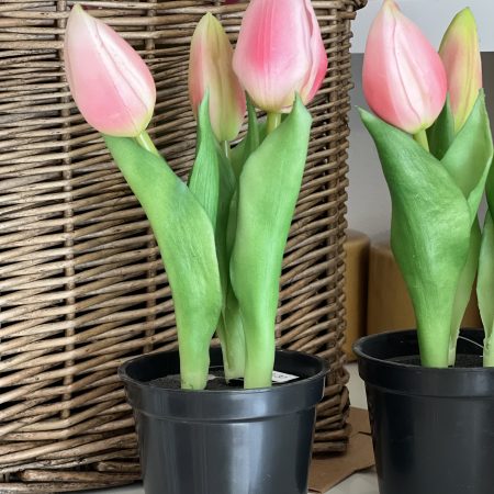Tulpen getopft, klein Kunstblumen