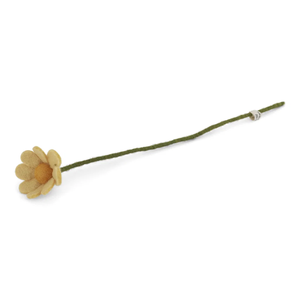 Filz-Anemone, light yellow, Flower-Bar