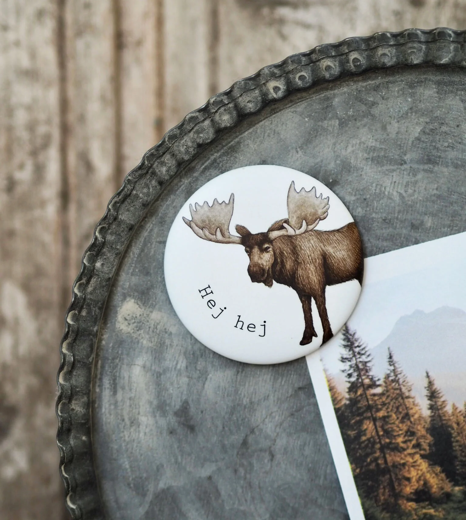 Magnet, Frollein Lücke, Elch "hej hej"
