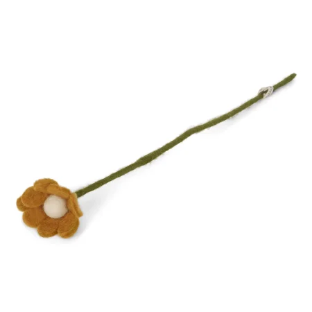Filz-Anemone, yellow, Flower-Bar