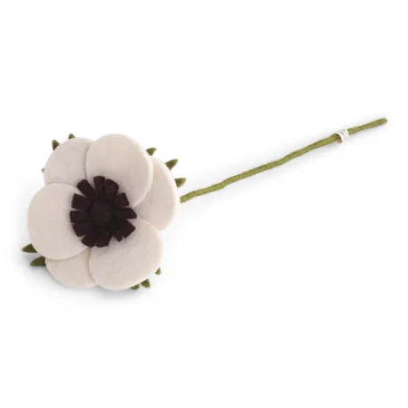 Filz-French Anemone, white,  Flower-Bar